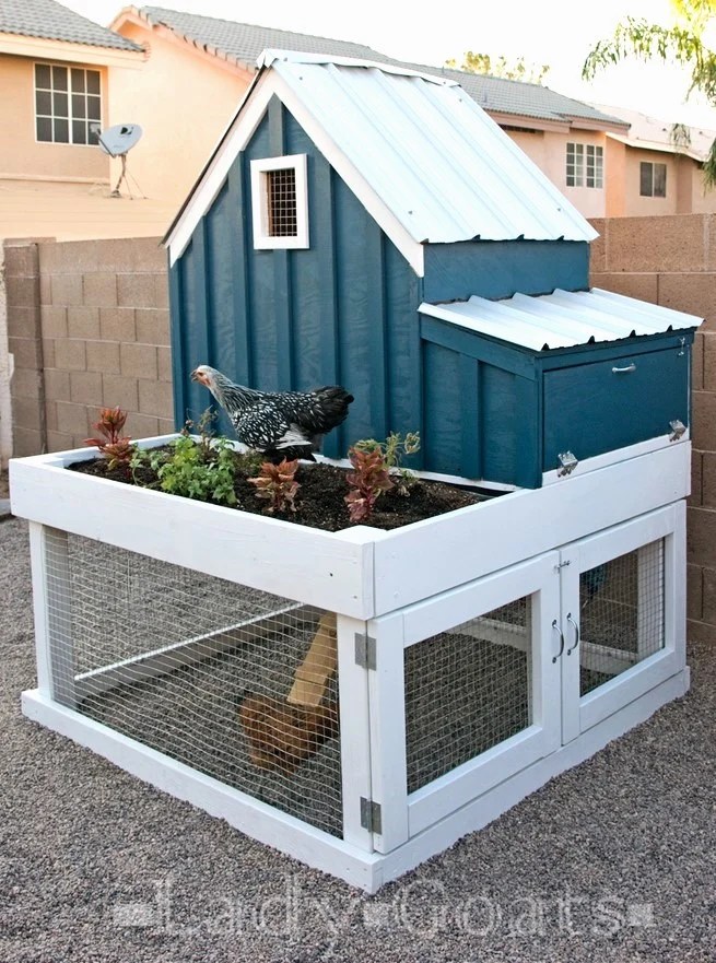 20+ DIY Chicken Coops Ana White